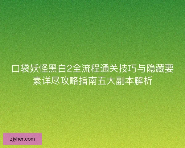 口袋妖怪黑白2全流程通关技巧与隐藏要素详尽攻略指南五大副本解析
